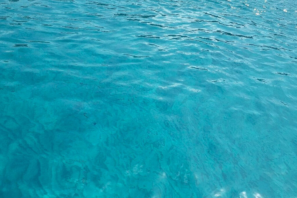 favignana-in-barca-isole-egadi